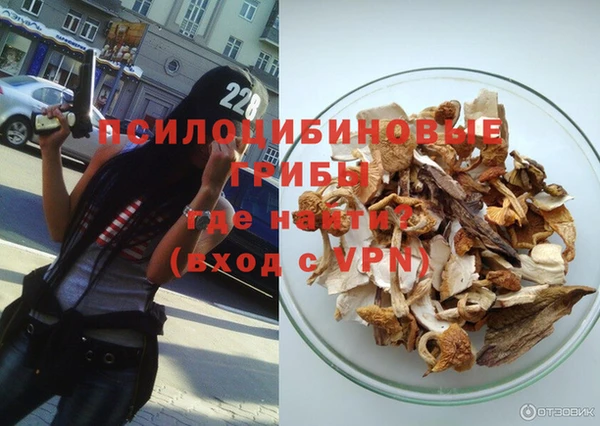 первитин Гусев