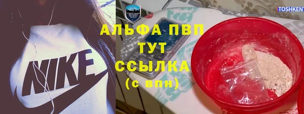 spice Гусиноозёрск
