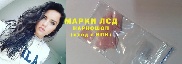 первитин Гусев