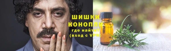 spice Гусиноозёрск