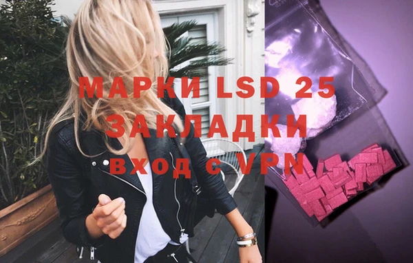 spice Гусиноозёрск