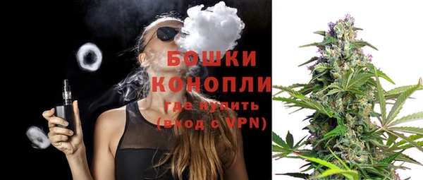 spice Гусиноозёрск