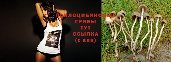 хмурый Тобольск
