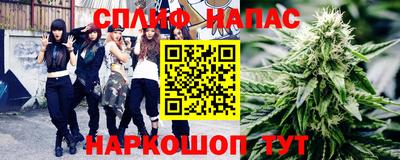 индика Донецк